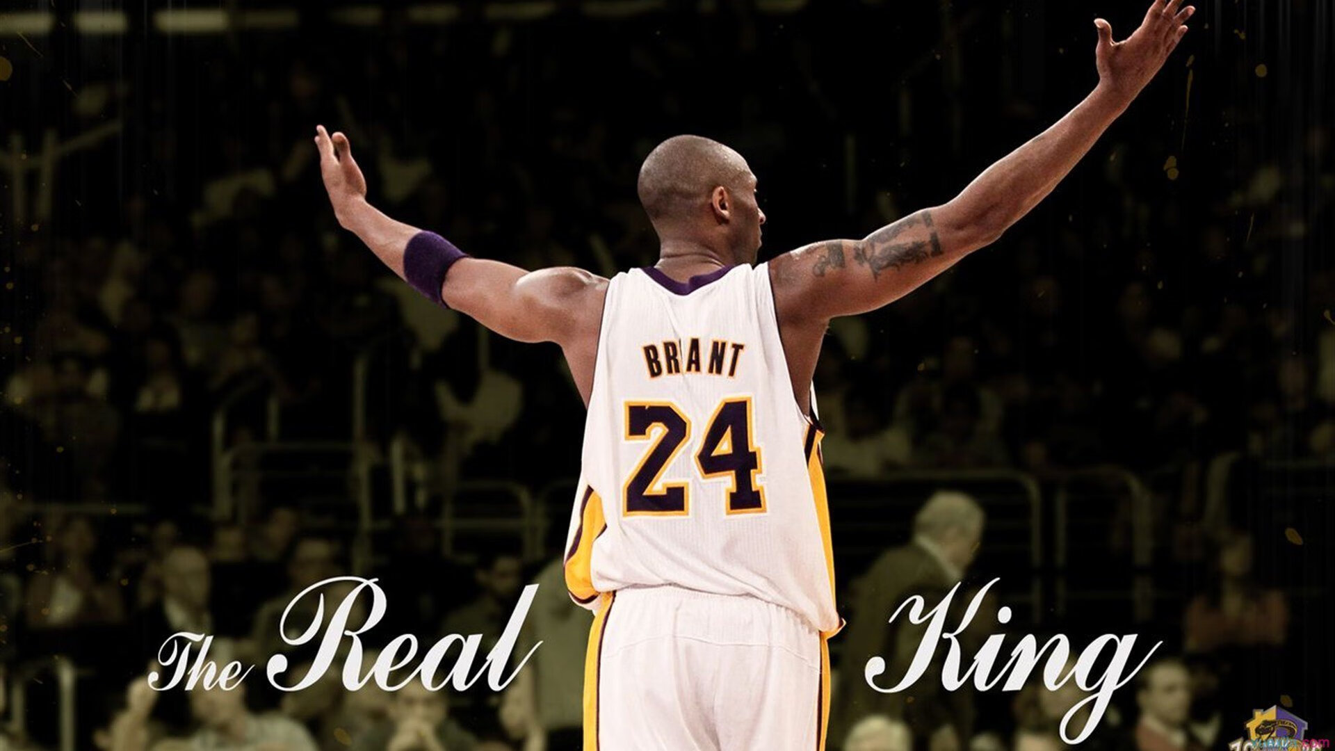 外援引入新政策，本土球员迎来黄金时代，外援选手